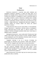 Eseja 'Konkurence', 1.