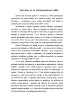 Referāts 'Motivēšana un tās nozīme uzņēmuma vadībā', 1.