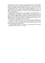 Referāts 'Zemesriekstu sviesta ražošanas tehnoloģiskais process', 5.