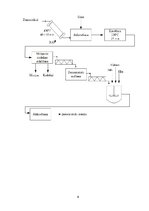 Referāts 'Zemesriekstu sviesta ražošanas tehnoloģiskais process', 6.