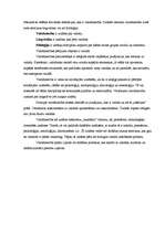 Referāts 'Valodniecība', 1.