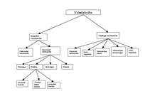 Referāts 'Valodniecība', 2.