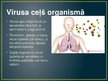 Prezentācija 'Vīrusu infekcijas', 3.
