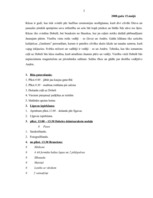 Konspekts 'Kāzas', 3.