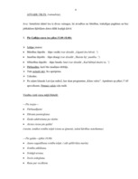 Konspekts 'Kāzas', 6.