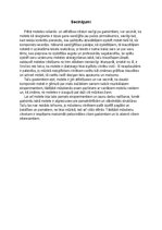 Referāts 'Motete', 5.