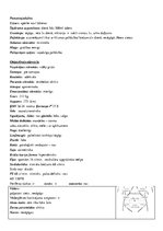 Prakses atskaite 'Aprūpes plāns nefroloģijā', 2.