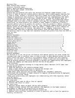 Eseja 'Business Plan', 1.