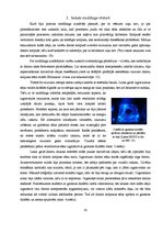 Referāts 'Datora korpusa dizaina maiņa - moddings', 10.