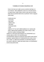 Prakses atskaite 'Valsts kvalifikācijas prakse', 12.