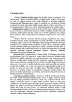 Referāts 'Kredīts kā tautsaimniecības attīstības elements', 26.