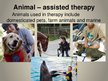 Prezentācija 'Animal Therapy', 2.