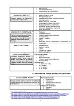 Referāts 'Bankas "Nordea Bank Finland PLC" Latvijas filiāles darbības analīze', 11.