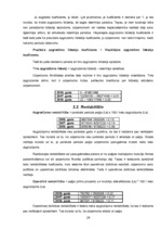 Referāts 'Bankas "Nordea Bank Finland PLC" Latvijas filiāles darbības analīze', 24.