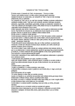 Eseja 'Leonardo da Vinči "Vitrūvija cilvēks"', 1.