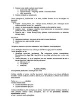 Konspekts 'Tiesību sistēmas aizsardzība', 4.