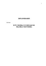 Diplomdarbs 'Pušu tiesības un pienākumi prasības tiesvedībā', 1.