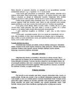 Referāts 'Raksturīgākais bērna attīstībā 1-2 gadu vecuma posmā', 3.