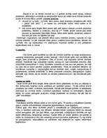 Referāts 'Raksturīgākais bērna attīstībā 1-2 gadu vecuma posmā', 4.