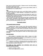 Referāts 'Raksturīgākais bērna attīstībā 1-2 gadu vecuma posmā', 5.