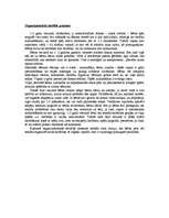 Referāts 'Raksturīgākais bērna attīstībā 1-2 gadu vecuma posmā', 12.