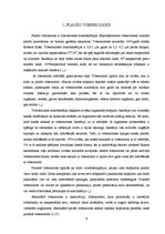 Prakses atskaite 'Pacienta aprūpe, veicot krūškurvja rentgenogrammu pie nediagnosticētas plaušu tu', 4.