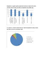 Referāts 'Mediju izvēle un politisko reklāmu ietekme jauniešu vidū', 7.