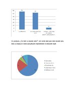 Referāts 'Mediju izvēle un politisko reklāmu ietekme jauniešu vidū', 9.