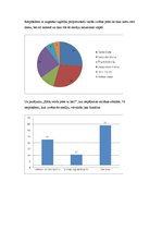 Referāts 'Mediju izvēle un politisko reklāmu ietekme jauniešu vidū', 12.