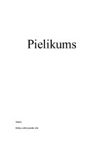 Referāts 'Mediju izvēle un politisko reklāmu ietekme jauniešu vidū', 20.