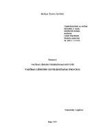 Referāts 'Vadības lēmumu izstrādāšanas process', 1.