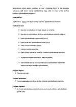 Referāts 'Apdrošināšana', 13.