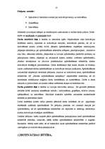 Referāts 'Apdrošināšana', 14.