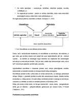 Referāts 'Apdrošināšana', 19.