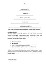 Referāts 'Apdrošināšana', 26.