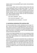 Referāts 'Apdrošināšana', 46.