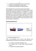 Referāts 'Apdrošināšana', 69.