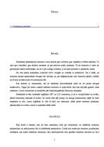 Referāts 'Monitori', 2.