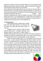 Referāts 'Monitori', 5.