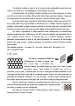 Referāts 'Monitori', 6.