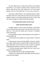 Referāts 'Darbaspēka migrācija Latvijā', 11.