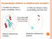 Prezentācija 'Olbaltumvielu denaturācija', 11.