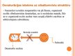 Prezentācija 'Olbaltumvielu denaturācija', 13.