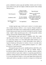 Referāts 'Zādzības kvalifikācijas problēmas', 19.