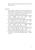 Referāts 'Zādzības kvalifikācijas problēmas', 32.