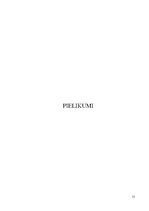 Referāts 'Zādzības kvalifikācijas problēmas', 33.