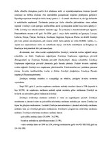 Referāts 'Eksporta tirgus profils Zviedrijai', 10.