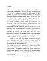 Referāts 'Dramaturģiskās konstrukcijas postmodernisma kino – Deivids Linčs', 3.