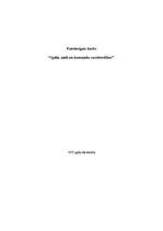 Eseja 'Spēle, meli un komandu sazvērestības', 1.