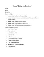 Paraugs 'Stafetes plāns sportā', 1.